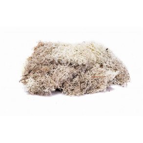 Humbrol Skale Scenics Lichen, stone grey - 35g - Humbrol