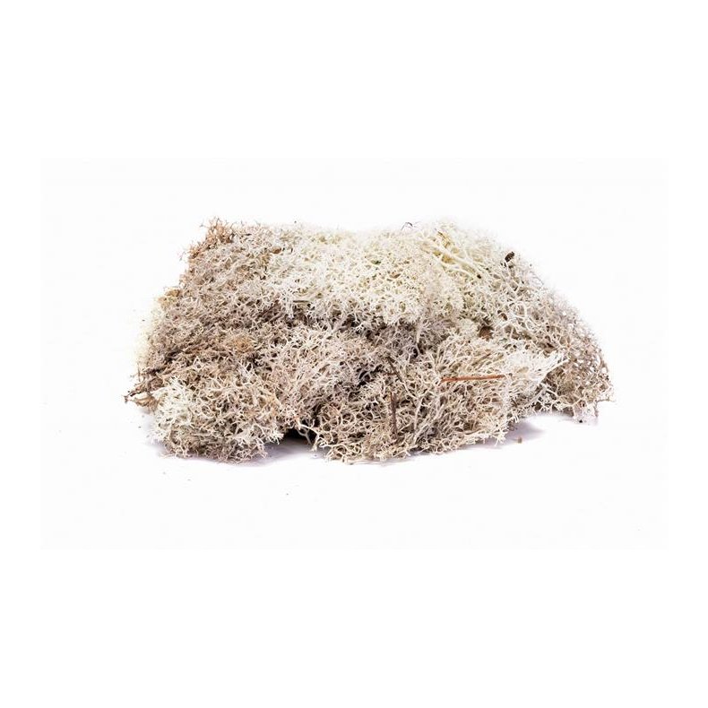 Humbrol Skale Scenics Lichen, stone grey - 35g - Humbrol