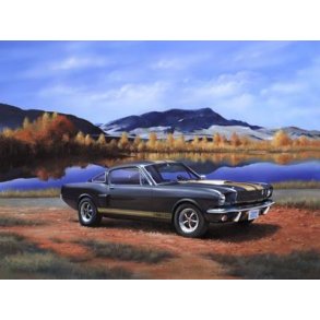 Shelby Mustang GT 350 H - 1:24 - Revell